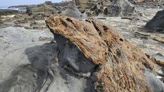 2024-11-GranCan-Playa_de_El_Puertillo-036.jpg